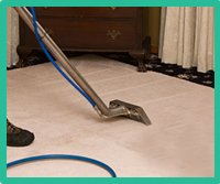 Professional Carpet Cleaners